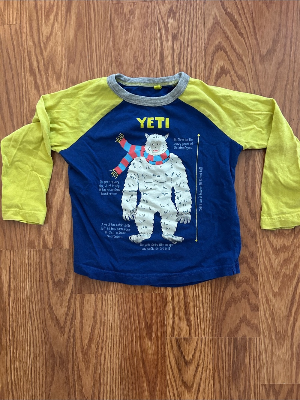 Mini Boden Blue Shirt with Yellow Raglan Sleeves and Gray Trim